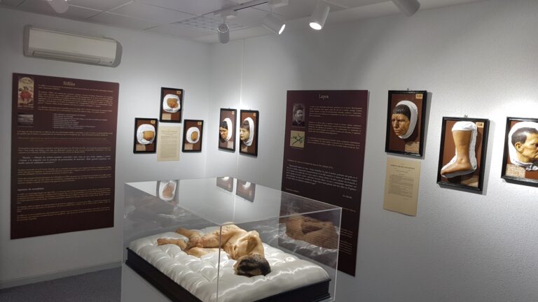 Dermomedic - Conocer el Museo Olavide de Dermatología